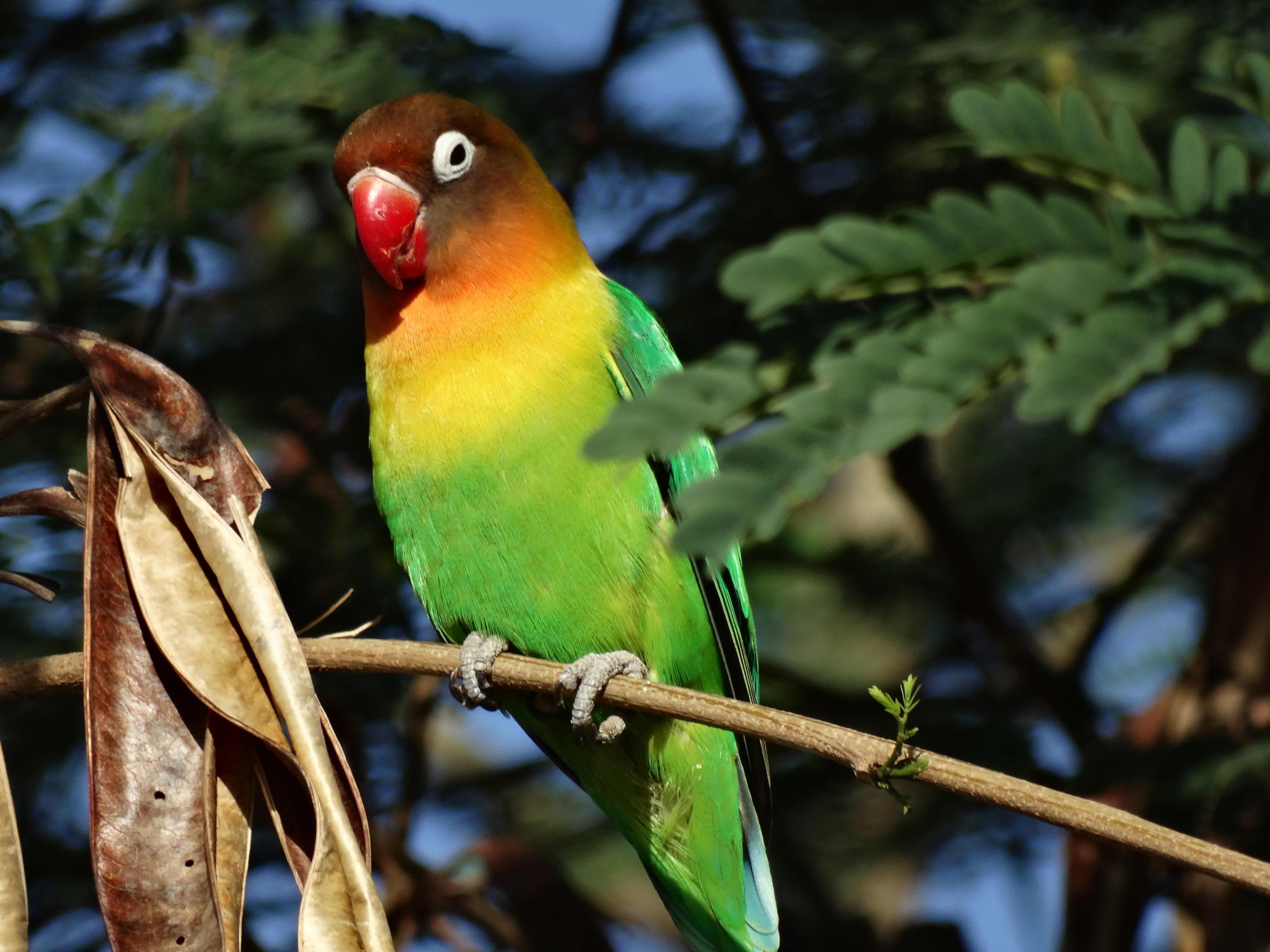 Africa Tangose Safaris Zanzibar Beach