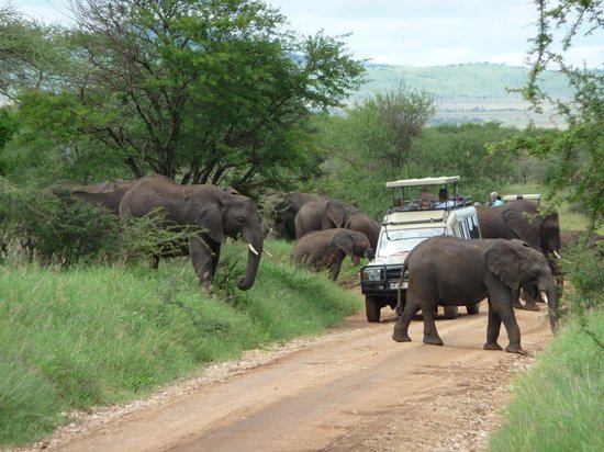 Tarangire National Park